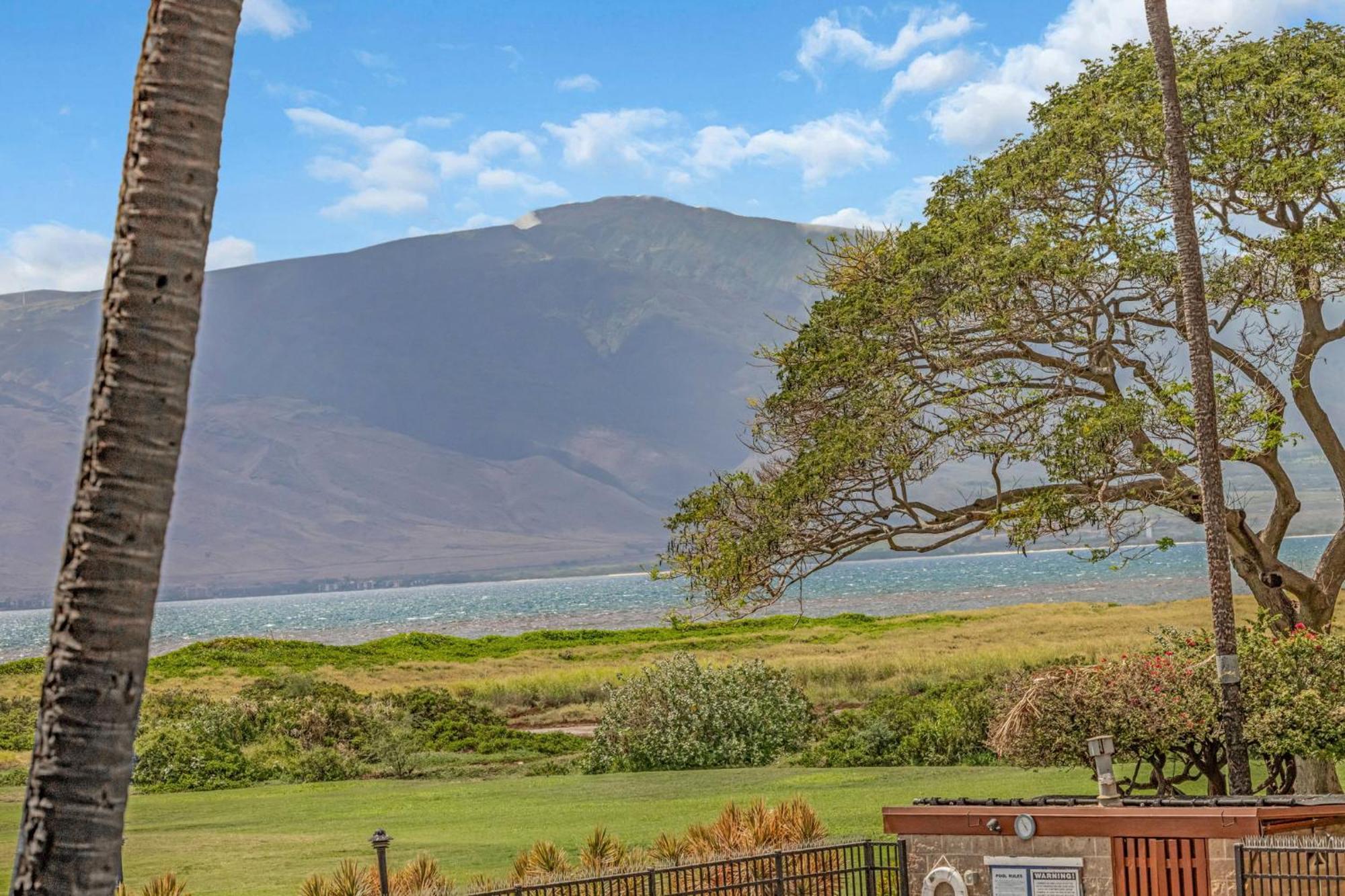 Ferienwohnung Kauhale Makai 230 Kīhei Exterior foto